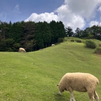 六甲山牧場