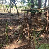 わち山野草の森へ、森の展示室