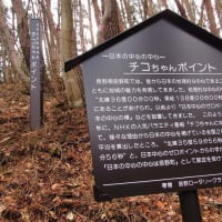 長野県辰野町には日本の中心点がある　山に住む猫神様