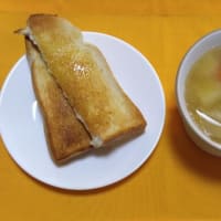 残りの煮物