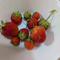 今日は、何着たら良いのか？