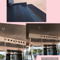 ☆整形外科に行ってきました！！！（笑）☆
