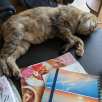 「本質」について🙄