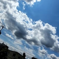 太陽の下で