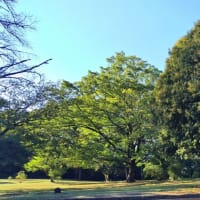 稲荷山公園と見晴台