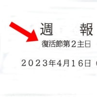 七宝典礼色アクセサリー