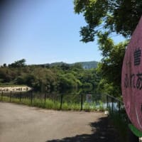 トレーニング