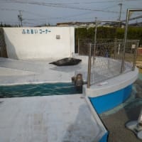 今日は休み