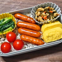 今日の手作り弁当（十六穀ごはんのチョリソー弁当）（2025年6月4日）