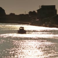 7月の水辺の風景