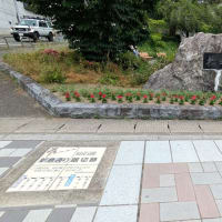 宮城野原案内人の会主催「仙石線　消えた踏切を巡る①」に参加しました