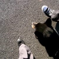 ありがとう