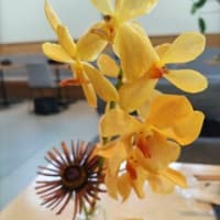 Nさんの初の写真展を見る！