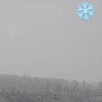 雪がふる☃️