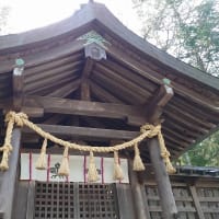 伊勢、長野、伊豆半島、箱根、掛川花鳥園の旅 ・パート1
