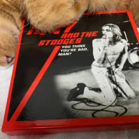 Iggy Pop & The Stooges / You Think Your're Bad, Man?