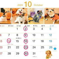 １０月も暦通りの診療＆トリミングです。
