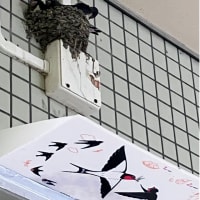 今日いち-2025年6月7日