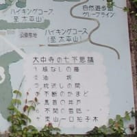入梅太平　大中寺