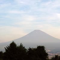 今朝も懲りずに朝練