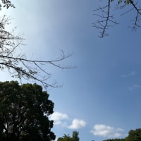 対人関係で観察眼はどう使う？