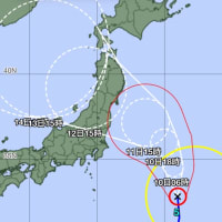 8月9日の釣況