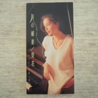 「ジレッたいよね」梨花 1995年