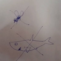 蚊とサメ