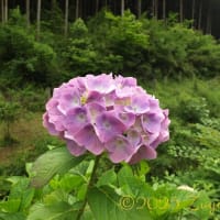 久々の山行、それは人生の縮図だった... Part 2