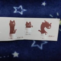 ガチャガチャします