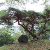 関東山紀行⑩　牛伏山と上野三碑