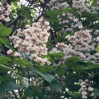 6月のロンドン