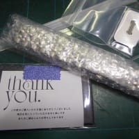 シチズン　ジェットダイバー　ベルト交換の巻