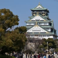 大阪城公園（２０２５年２月２７日）