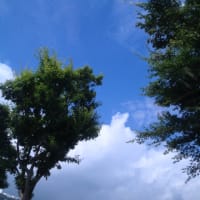 芦ノ湖へ