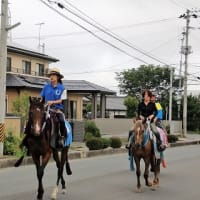 2017年7月29日相馬野馬追