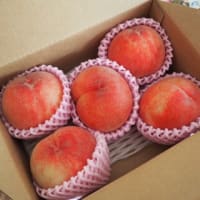ふるさと納税の桃が届いた