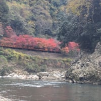 保津峡紅葉ダウンリバー