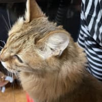 昨日のごど！(≧▽≦)