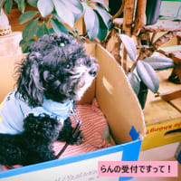 受付ですって！