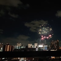 花火2024