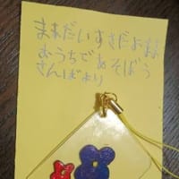 サンバくん母の日のプレゼント