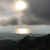 お散歩