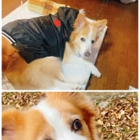 なんやかんや〜