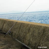 彼杵港での釣り～！
