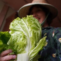 ついていないけれどラッキーっていう小事件
