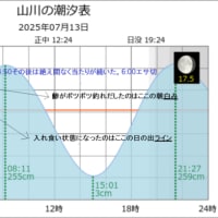 鯵釣り