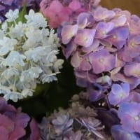 美容室にて　２６日