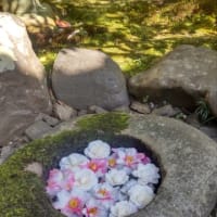 京都へ行きました