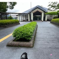 今日いち-2025年6月9日